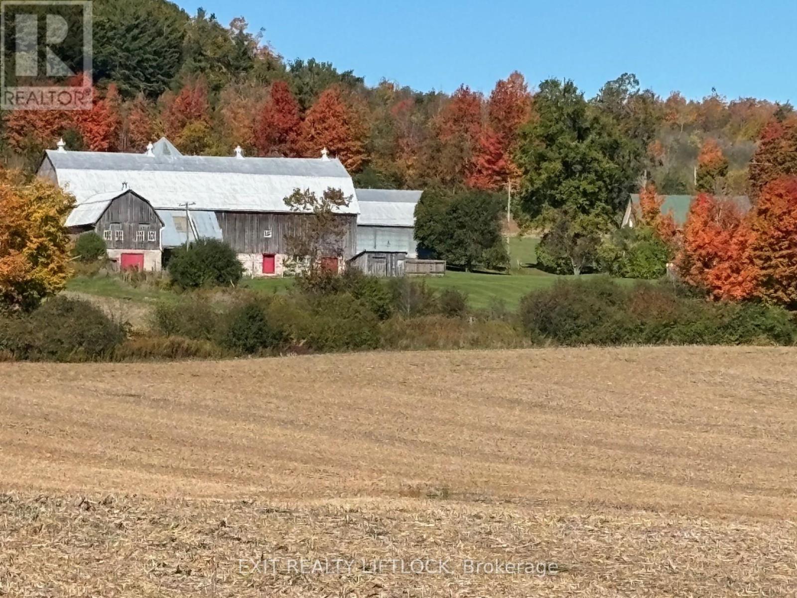 404 Morton Line, Cavan Monaghan, Ontario  L0A 1C0 - Photo 29 - X12155185