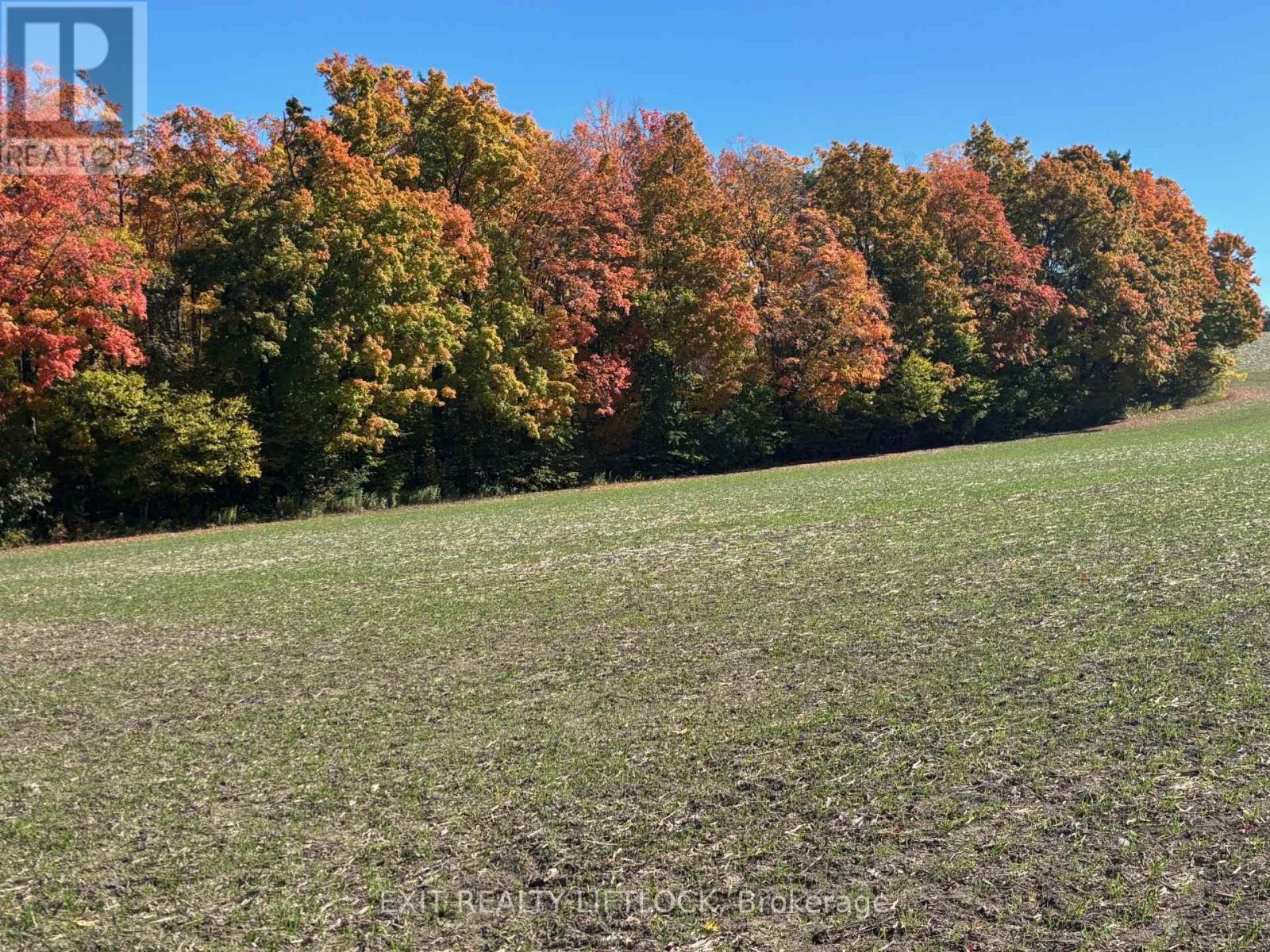 404 Morton Line, Cavan Monaghan, Ontario  L0A 1C0 - Photo 28 - X12155185