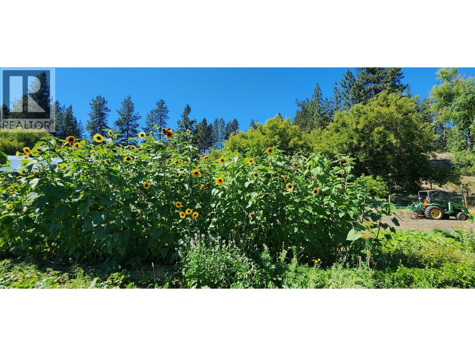 3450 Hardy Mountain Road, Grand Forks, British Columbia  V0H 1H2 - Photo 36 - 10361869