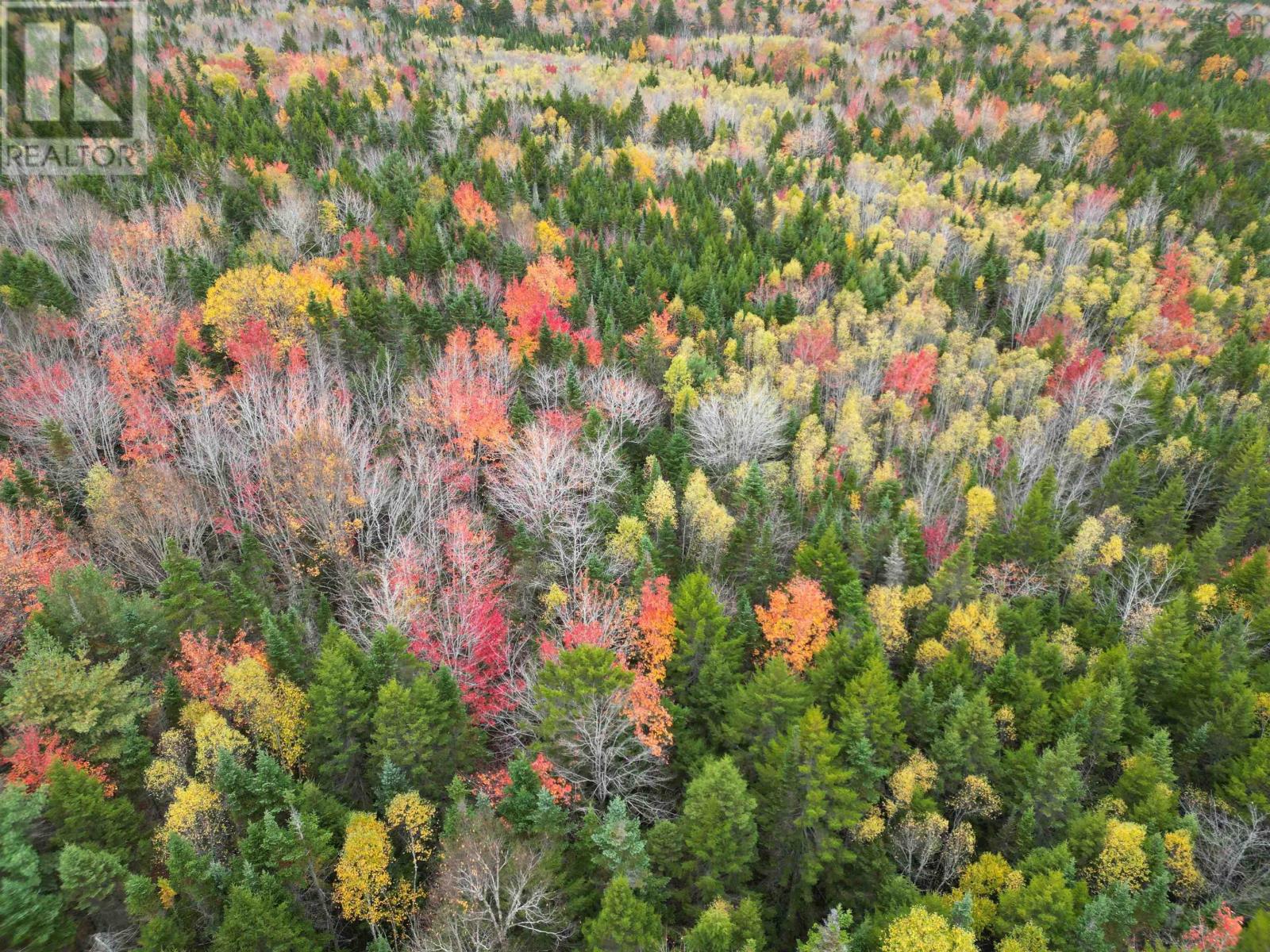 1 Barr Settlement Road, Barr Settlement, Nova Scotia  B2S 3B7 - Photo 2 - 202525997
