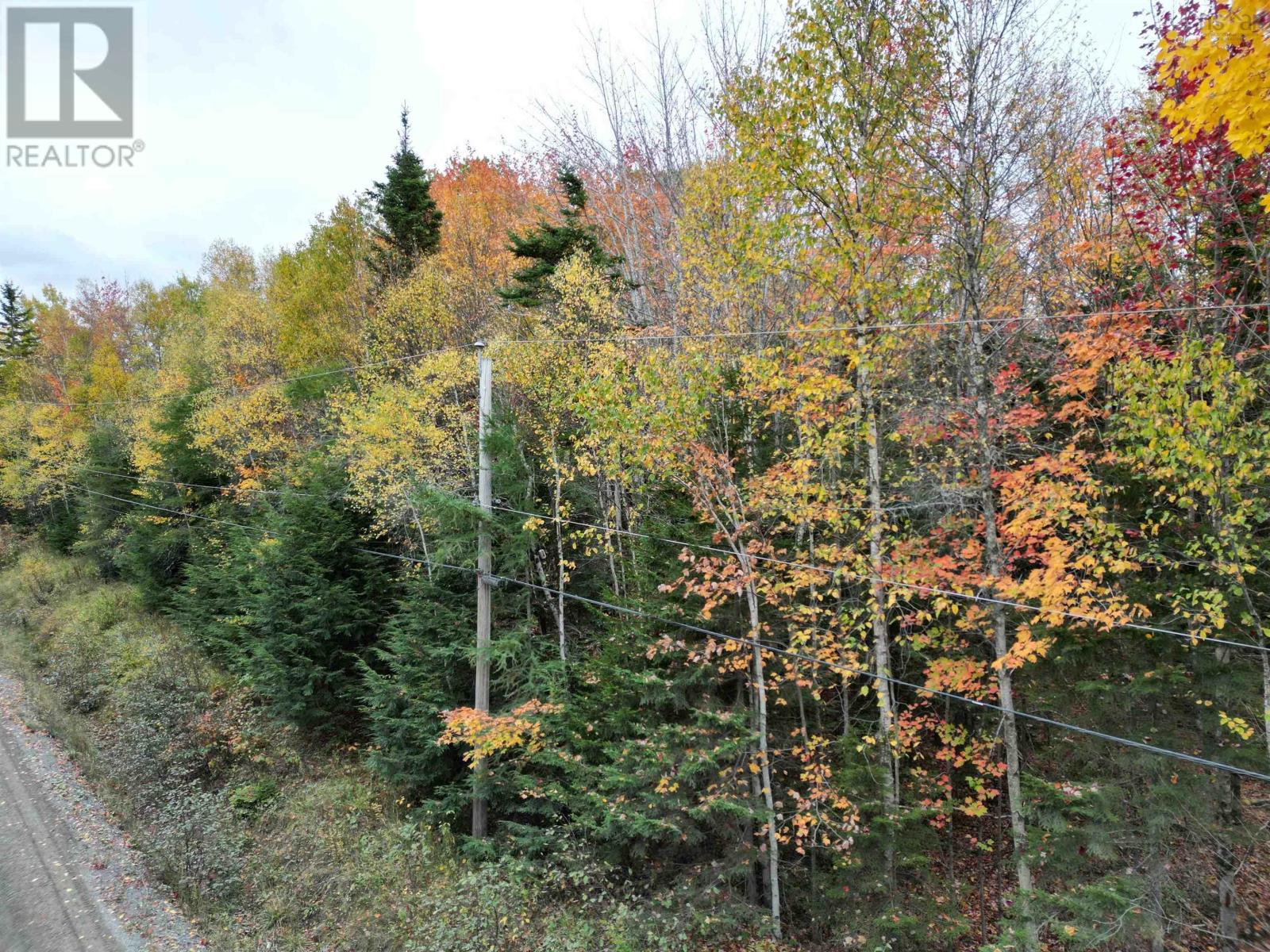 1 Barr Settlement Road, Barr Settlement, Nova Scotia  B2S 3B7 - Photo 5 - 202525997