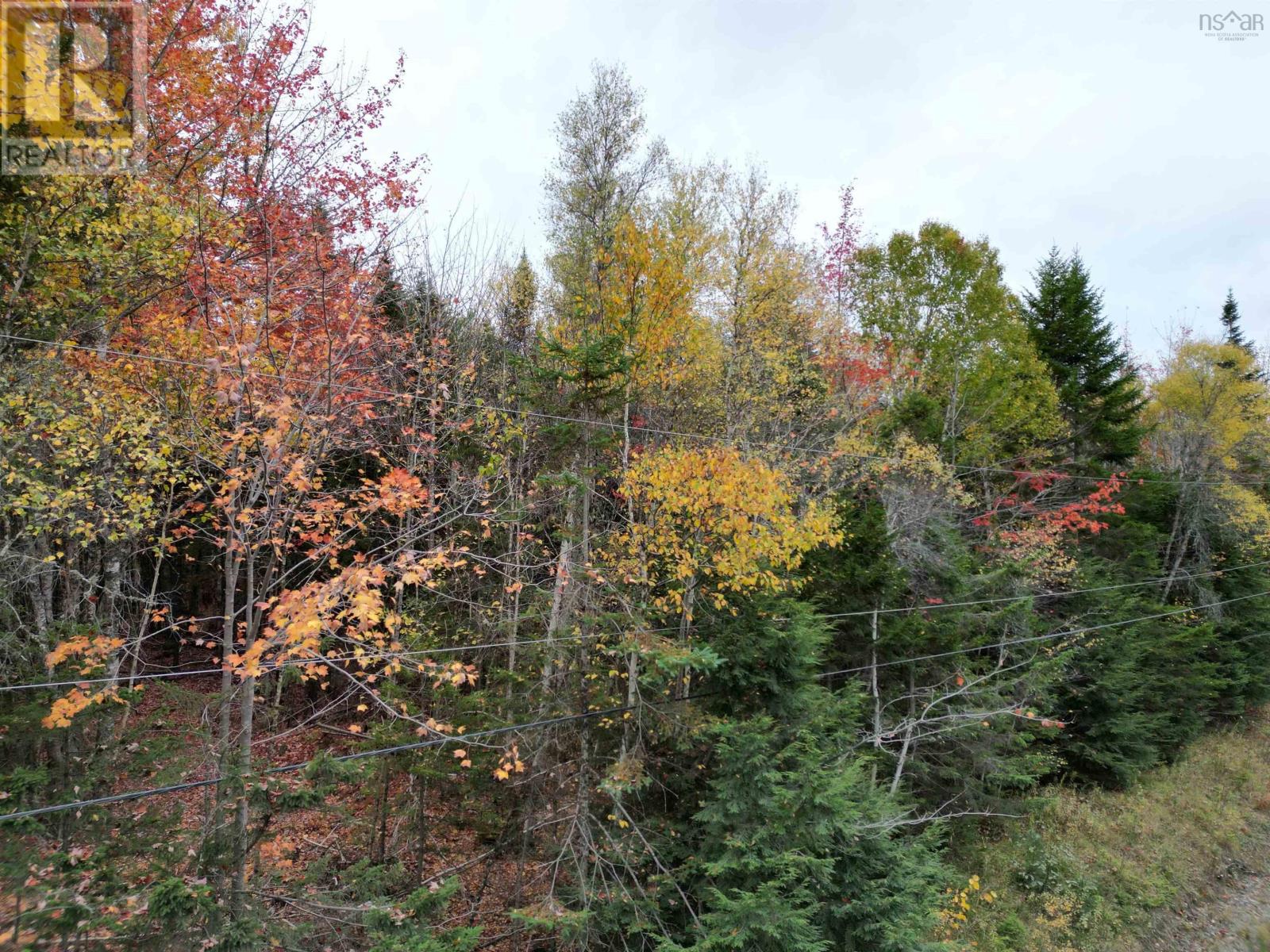 1 Barr Settlement Road, Barr Settlement, Nova Scotia  B2S 3B7 - Photo 6 - 202525997