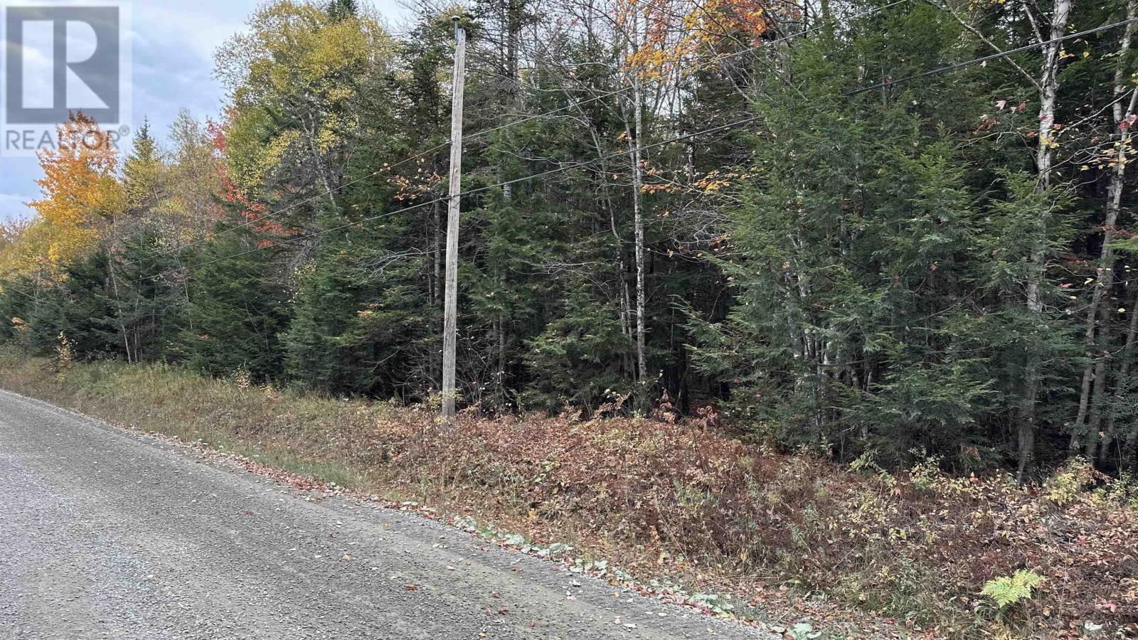 1 Barr Settlement Road, Barr Settlement, Nova Scotia  B2S 3B7 - Photo 8 - 202525997