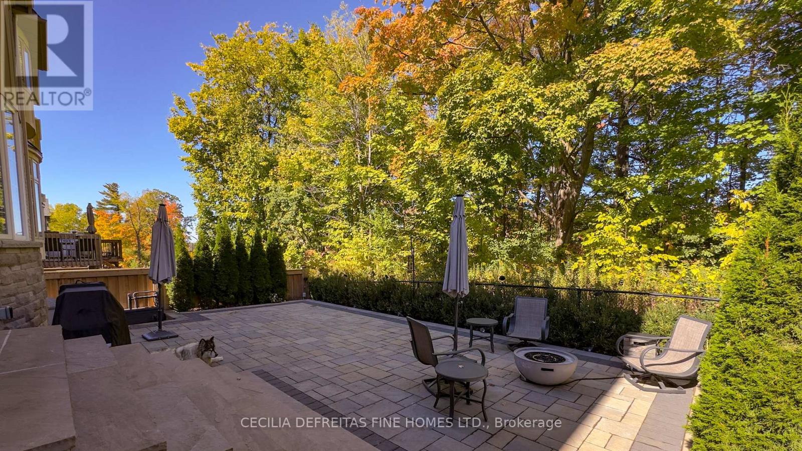 6 Orwell Drive, Vaughan, Ontario  L4H 4P7 - Photo 45 - N12466287