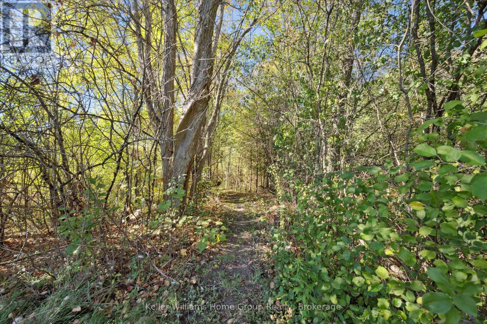 568 Black Street, Centre Wellington, Ontario  N1M 0A3 - Photo 31 - X12466445