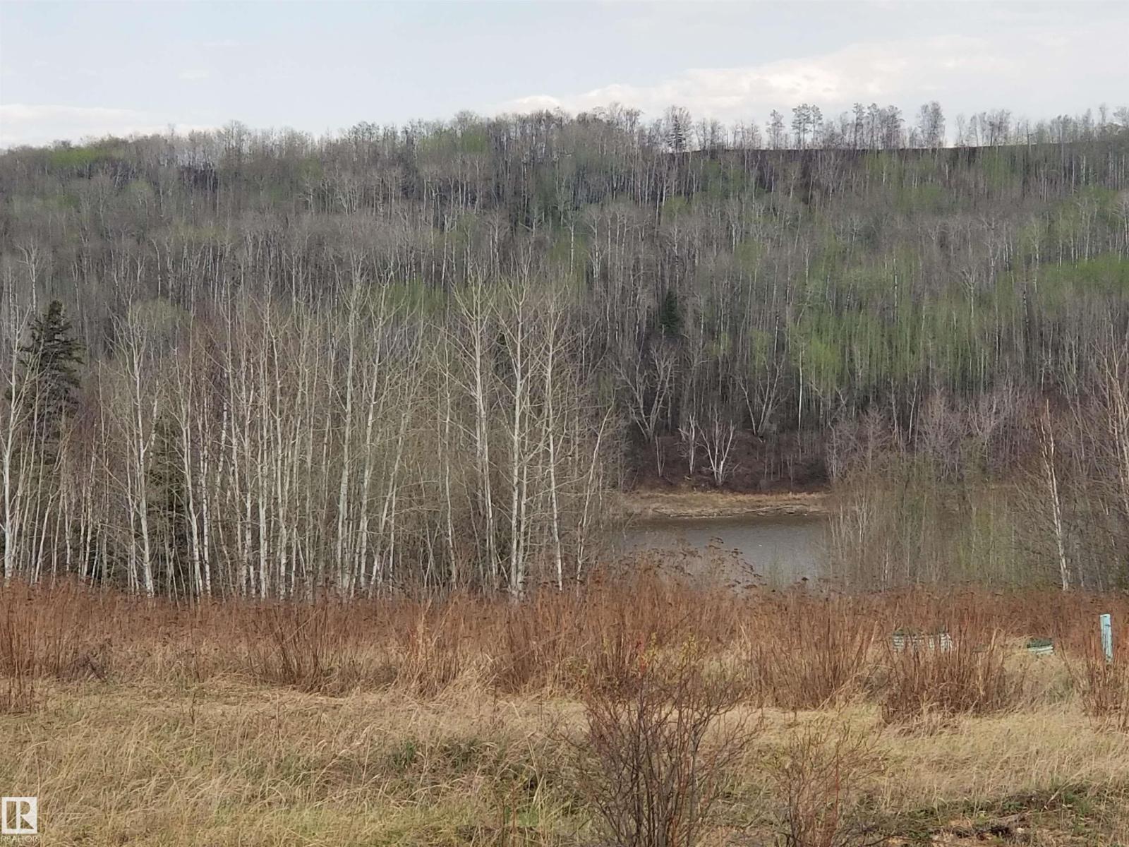 5 221048 Twp Rd 670, Rural Athabasca County, Alberta  T9S 1C3 - Photo 13 - E4462349