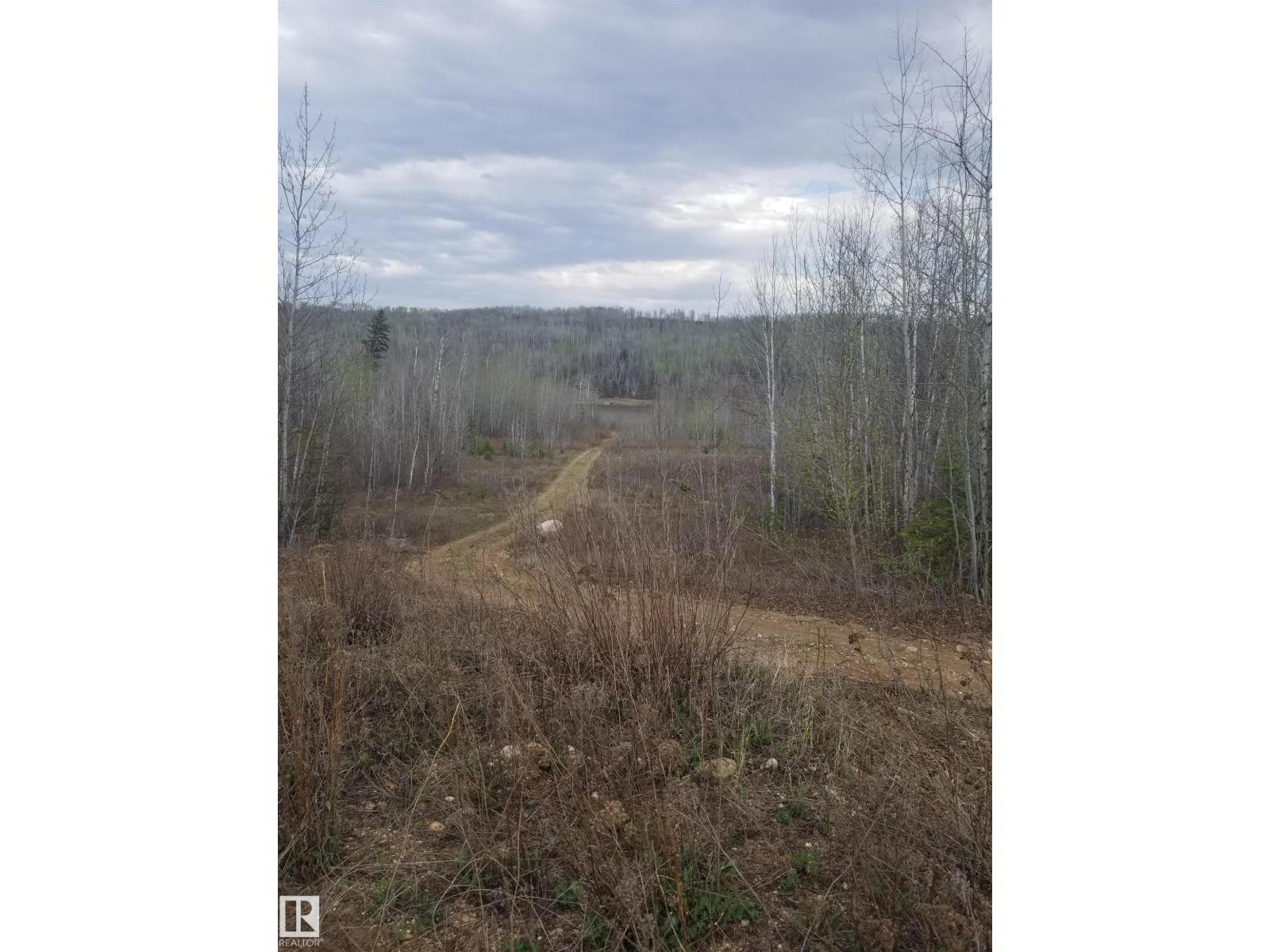 5 221048 Twp Rd 670, Rural Athabasca County, Alberta  T9S 1C3 - Photo 14 - E4462349