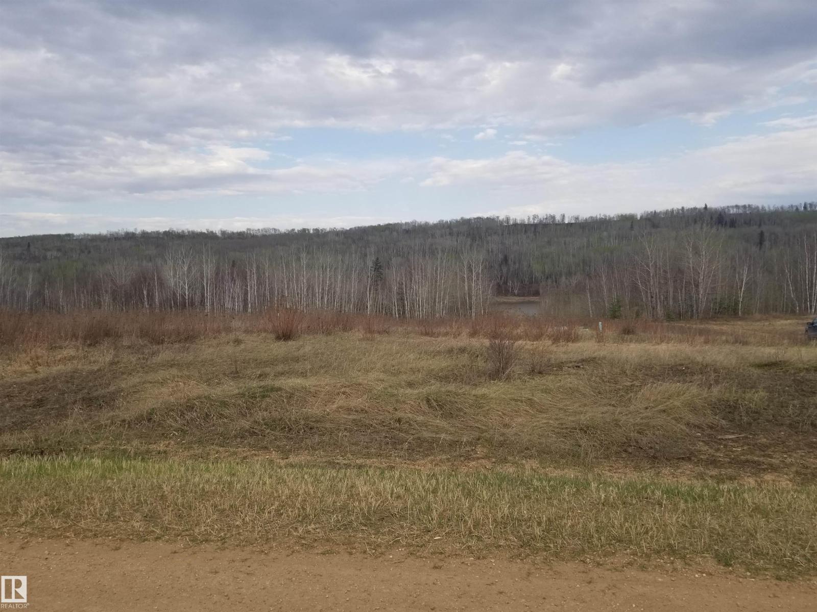 5 221048 Twp Rd 670, Rural Athabasca County, Alberta  T9S 1C3 - Photo 18 - E4462349