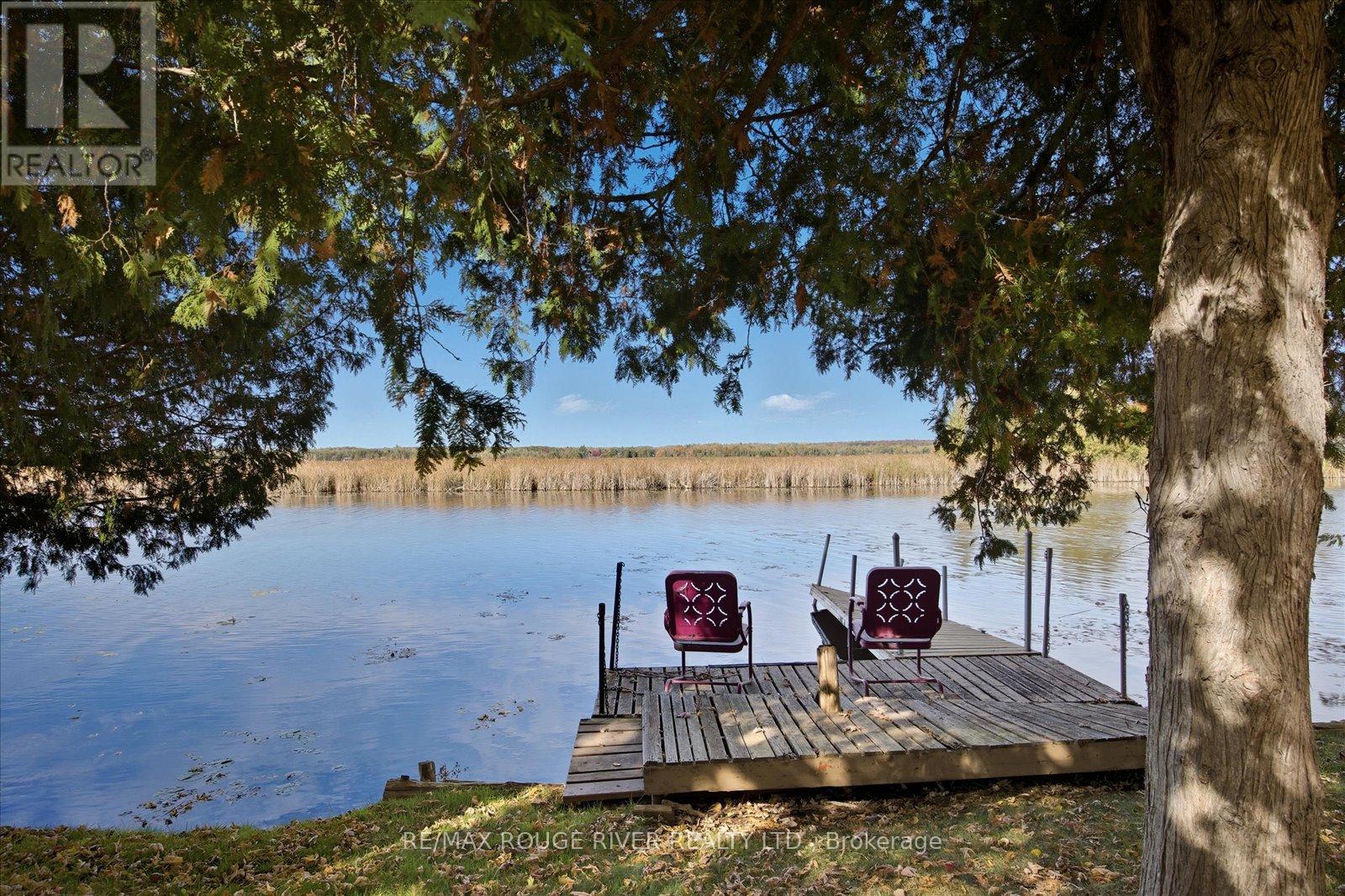 65 Cedarview Drive, Kawartha Lakes (Omemee), Ontario  K0L 2W0 - Photo 36 - X12466583