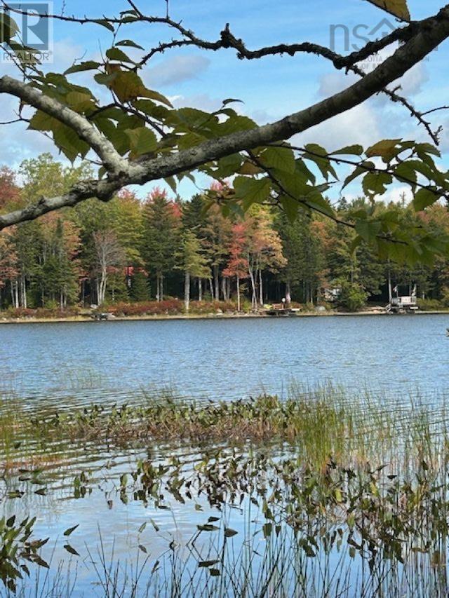 Lot 3 & 4 Lakeshore, New Russell, Nova Scotia  B0J 2M0 - Photo 13 - 202526008