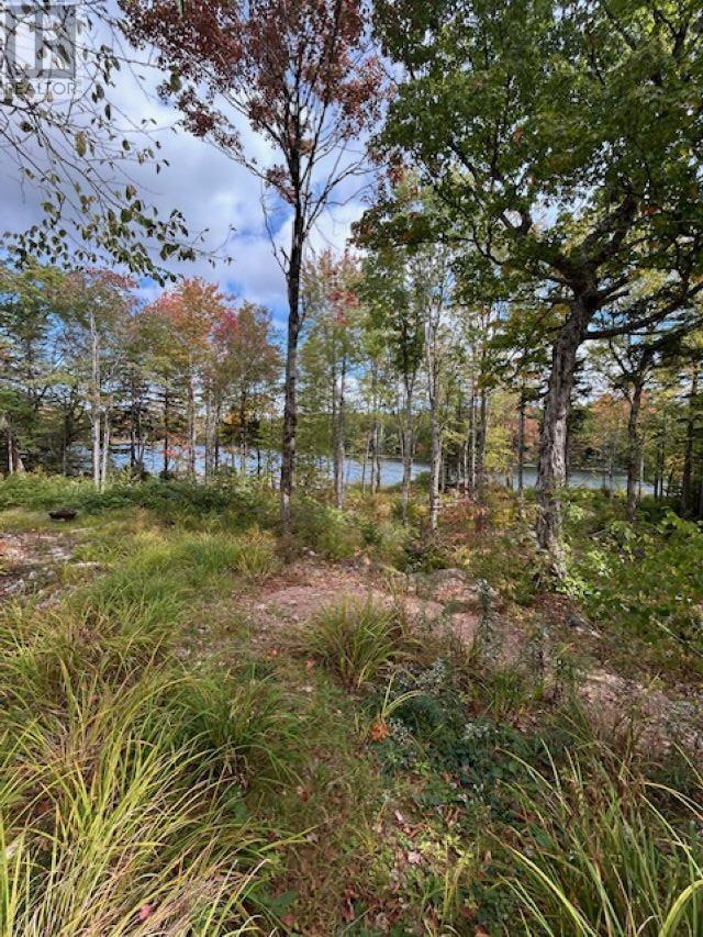 Lot 3 & 4 Lakeshore, New Russell, Nova Scotia  B0J 2M0 - Photo 17 - 202526008