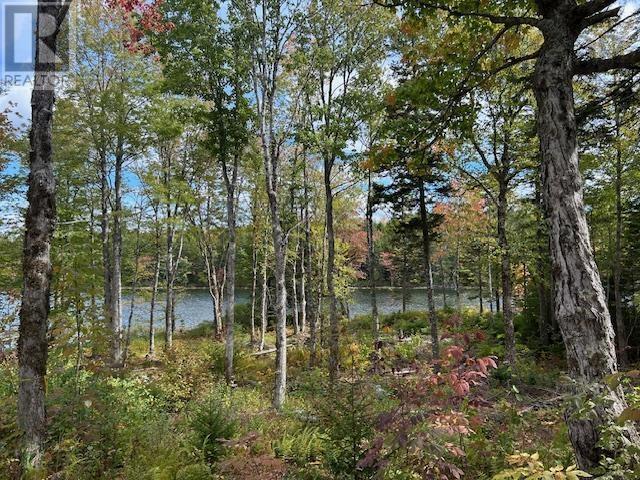 Lot 3 & 4 Lakeshore, New Russell, Nova Scotia  B0J 2M0 - Photo 4 - 202526008