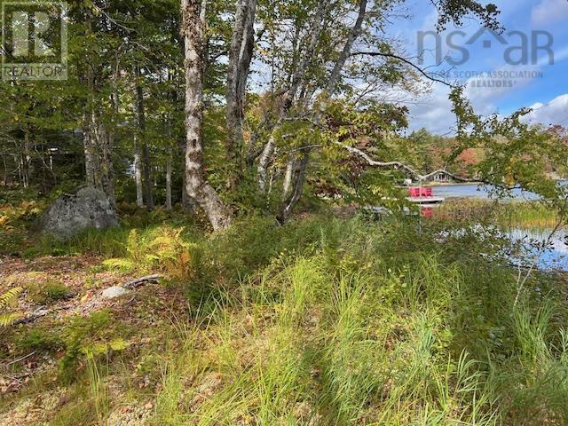 Lot 3 & 4 Lakeshore, New Russell, Nova Scotia  B0J 2M0 - Photo 5 - 202526008