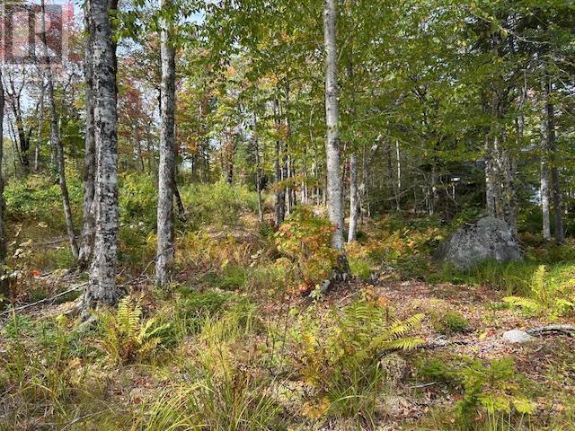 Lot 3 & 4 Lakeshore, New Russell, Nova Scotia  B0J 2M0 - Photo 6 - 202526008