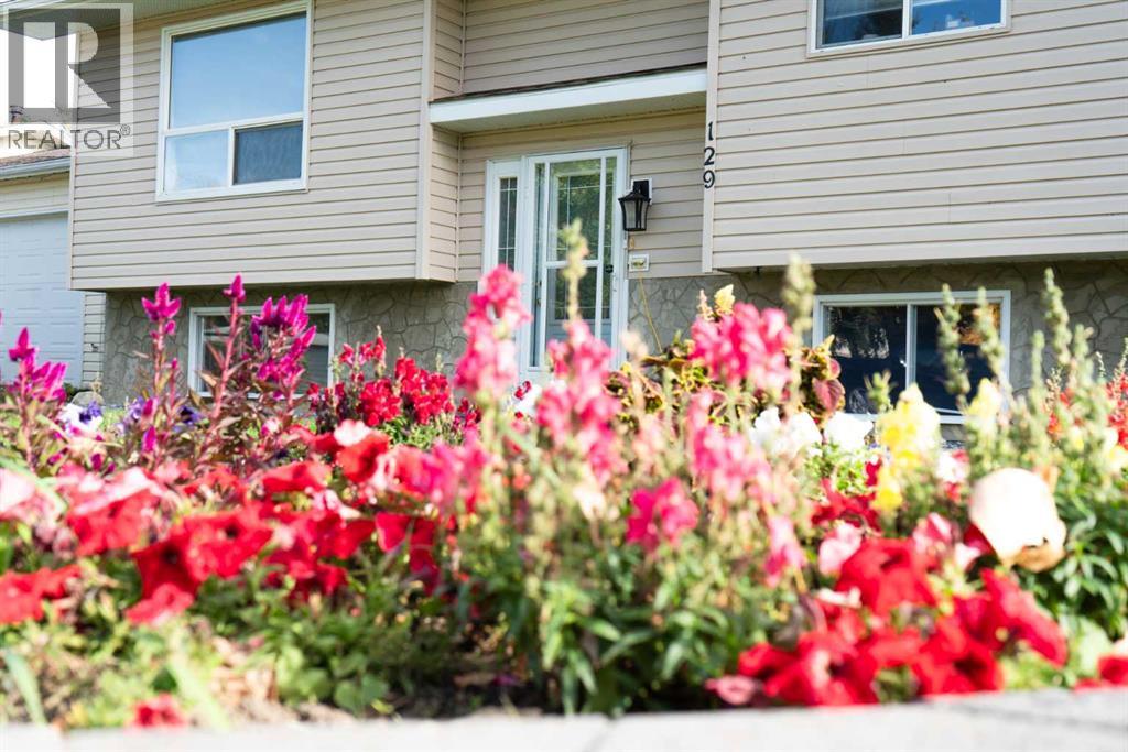 129 Scandia Cresent, Scandia, Alberta