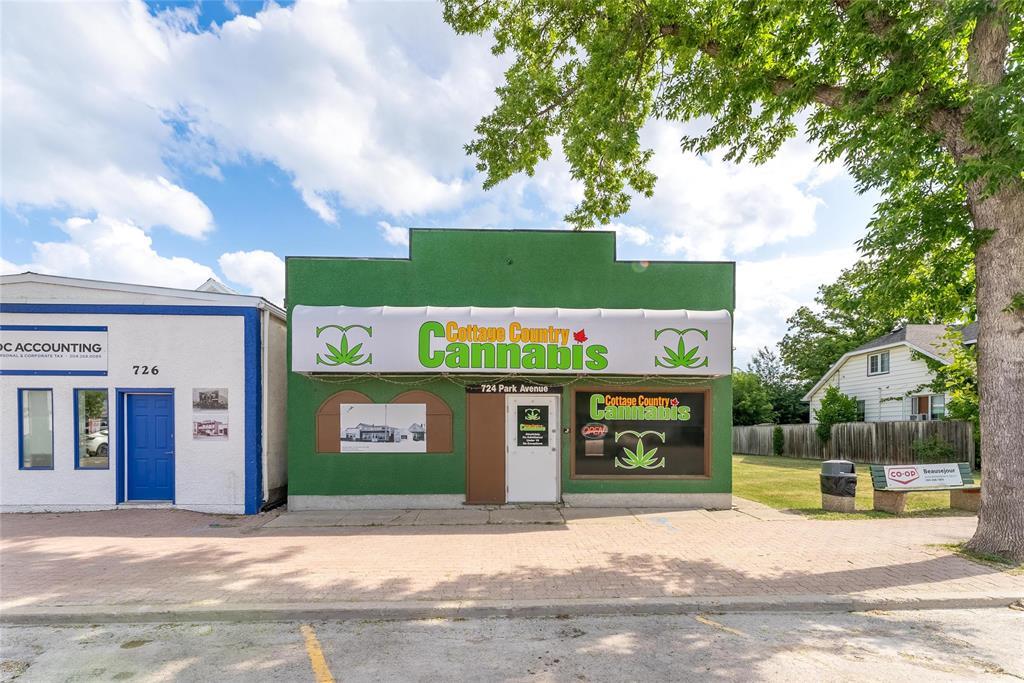 724 Park Avenue, Beausejour, Manitoba  R0E 0C0 - Photo 1 - 202526757