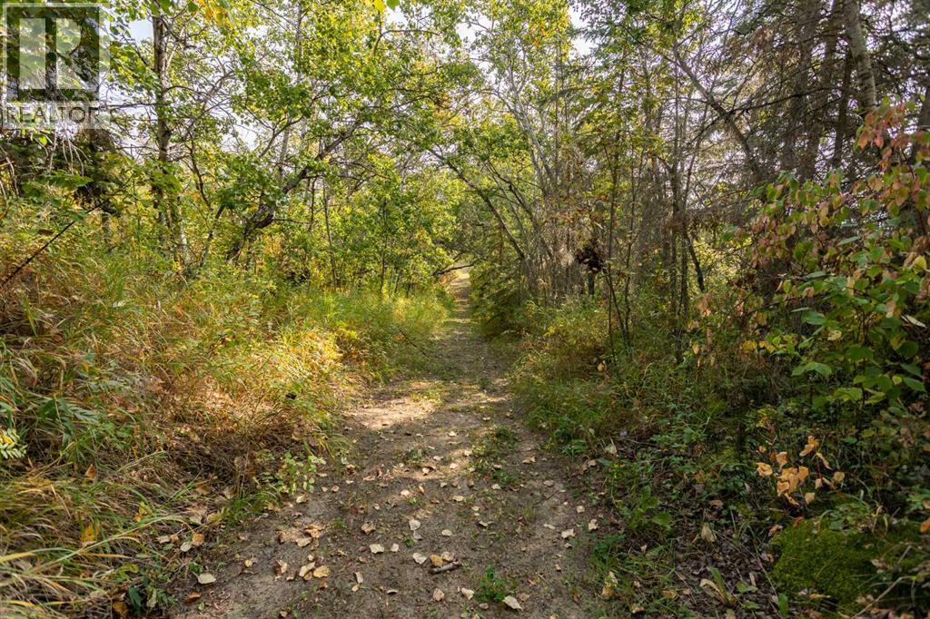 309, 27111 Highway 597 Highway, Rural Lacombe County, Alberta  T0M 0J0 - Photo 43 - A2257995