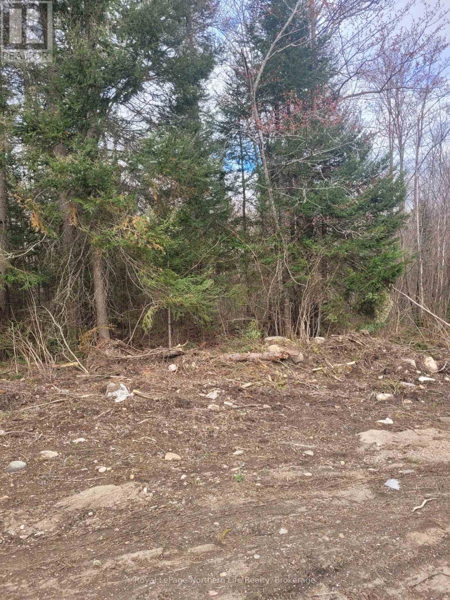 Lot 21 Con 13 Pt 3, Papineau-Cameron, Ontario P0H 1V0 - Photo 3 - X12136906