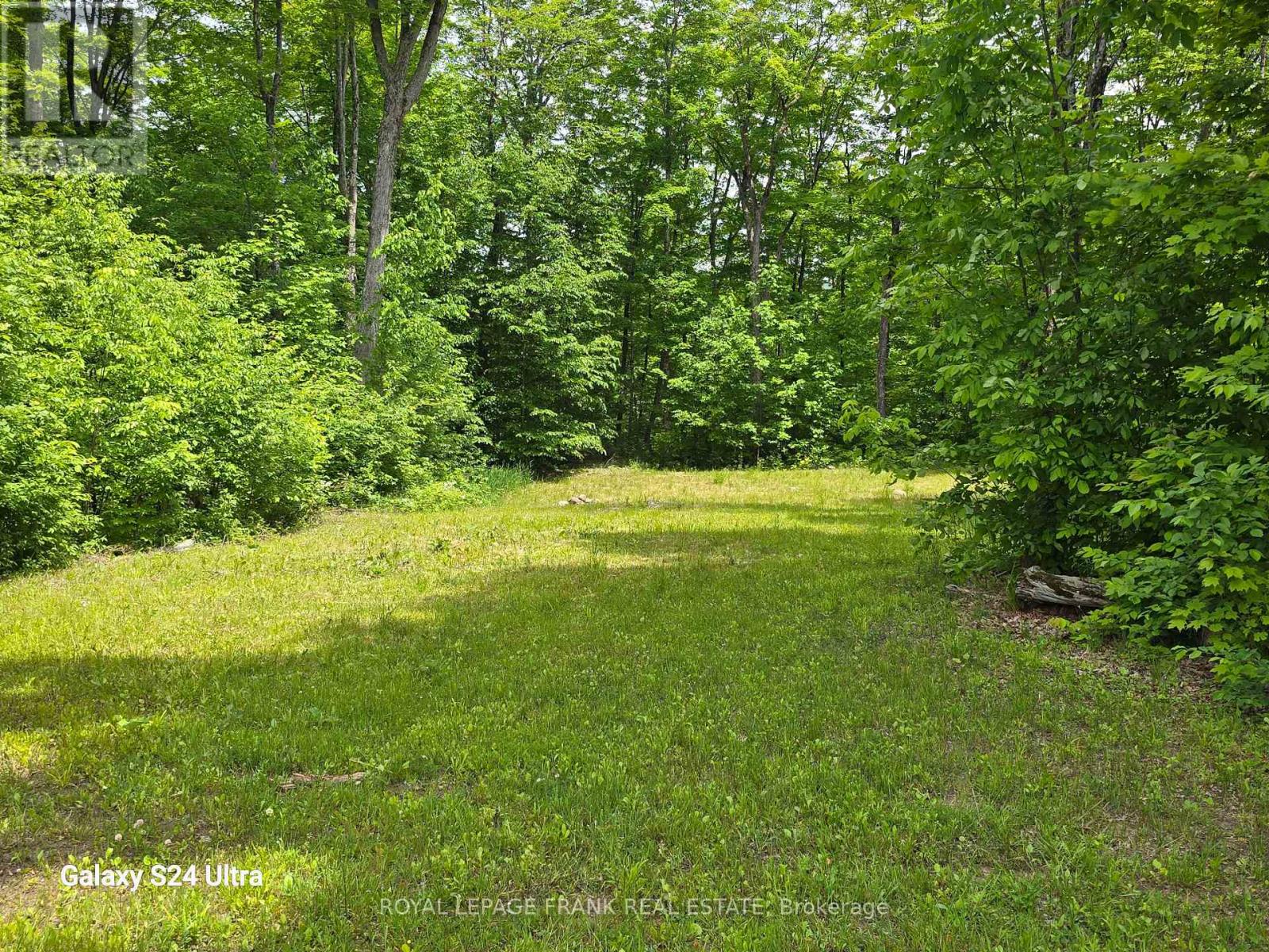 1097 Cheddar Road, Highlands East, Ontario  K0L 1M0 - Photo 12 - X12466875