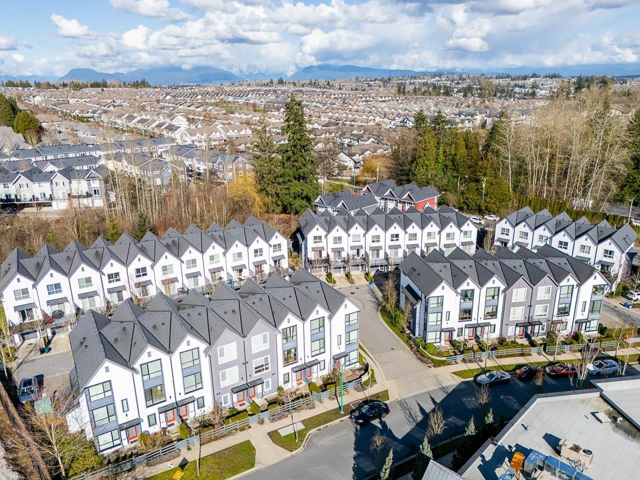 39 19159 Watkins Drive, Surrey, British Columbia  V4N 6P7 - Photo 31 - R3058482