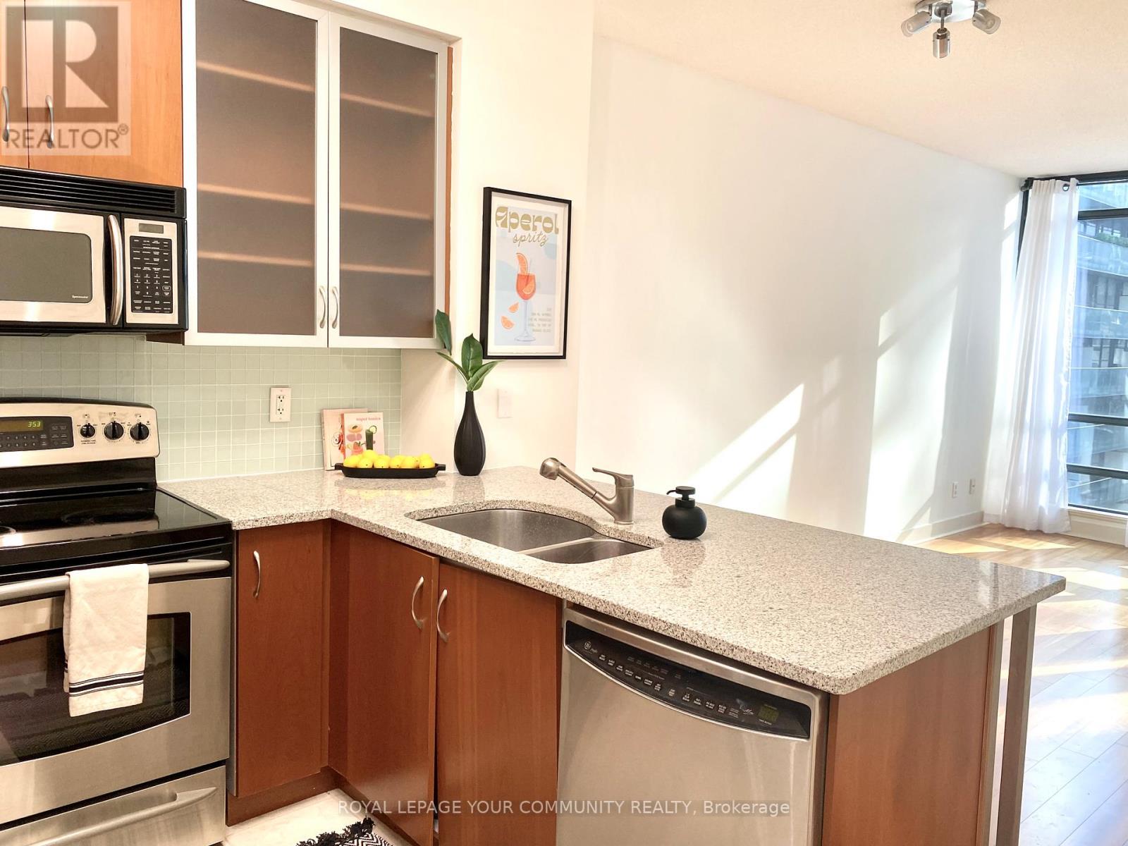 903 - 438 King Street W, Toronto, Ontario  M5V 3T9 - Photo 4 - C12459907