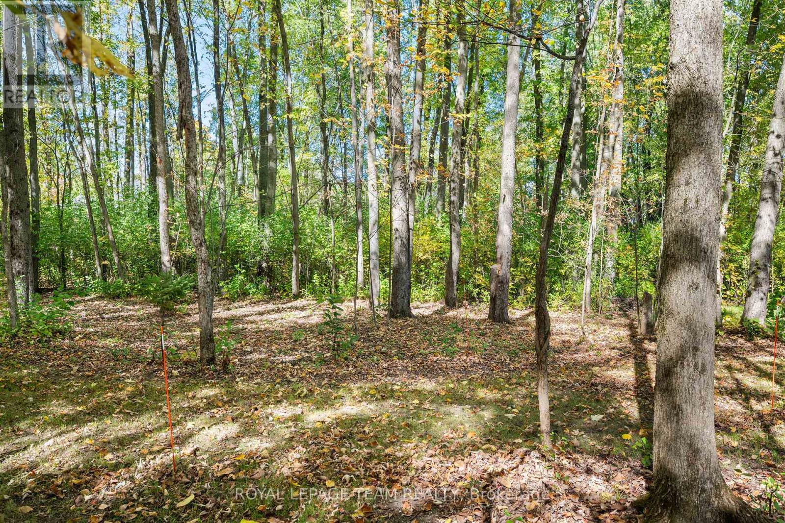 524 Osmond Daley Drive, Ottawa, Ontario  K0A 1L0 - Photo 29 - X12466928