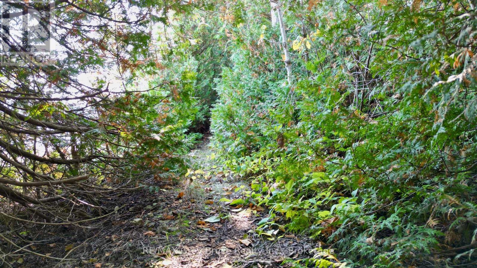 248 Isthmus Bay Road, Northern Bruce Peninsula, Ontario  N0H 1W0 - Photo 46 - X12466961