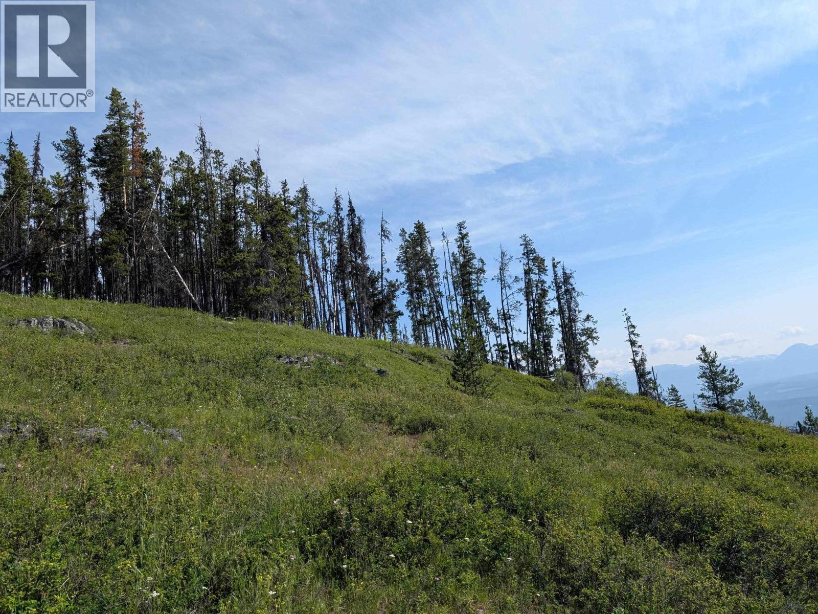 Lot 6 Hudson Bay Mountain Road, Smithers, British Columbia  V0J 2N2 - Photo 3 - R3018479