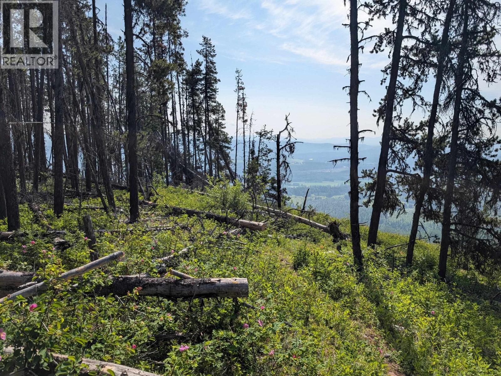 Lot 6 Hudson Bay Mountain Road, Smithers, British Columbia  V0J 2N2 - Photo 5 - R3018479