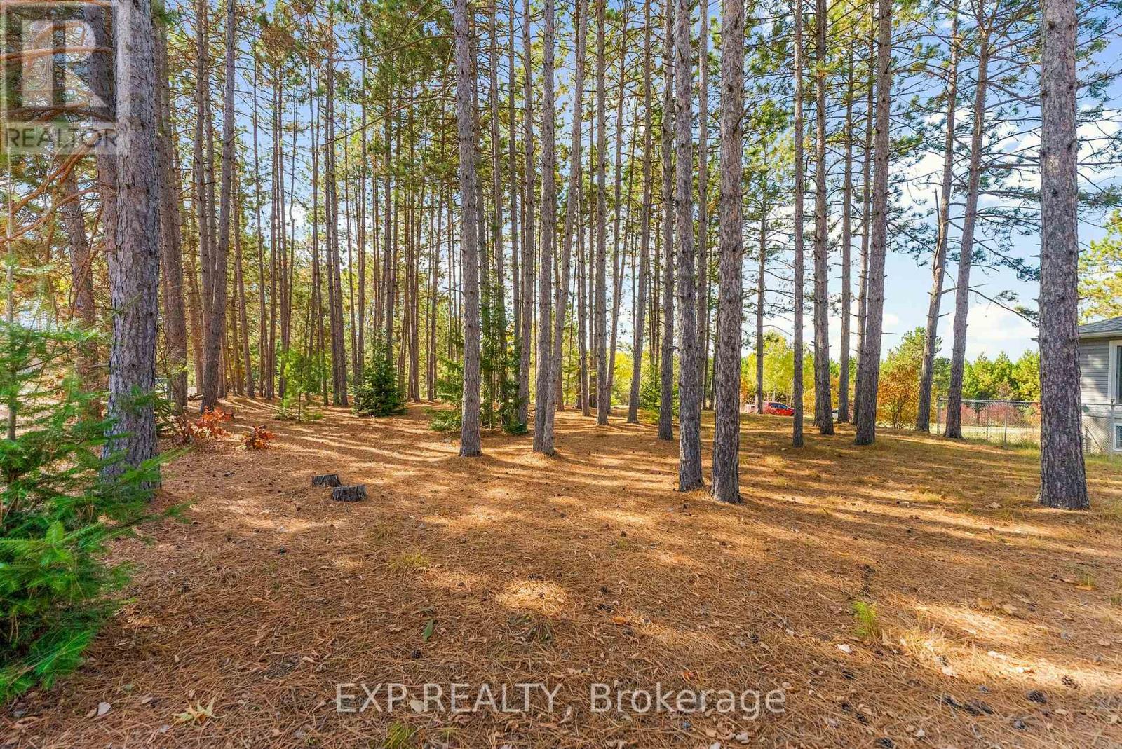10 Cybulski Road, Madawaska Valley, Ontario  K0J 1B0 - Photo 39 - X12467013