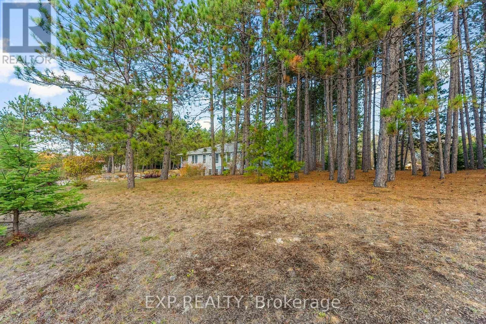 10 Cybulski Road, Madawaska Valley, Ontario  K0J 1B0 - Photo 40 - X12467013