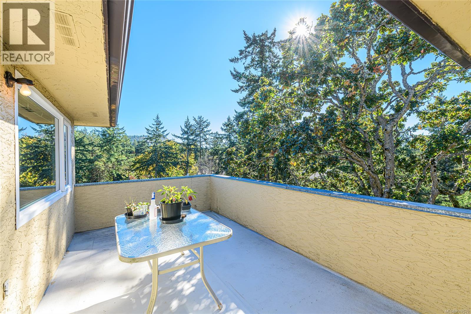 4727 Treetop Hts, Saanich, British Columbia  V8Y 1E3 - Photo 22 - 1017570