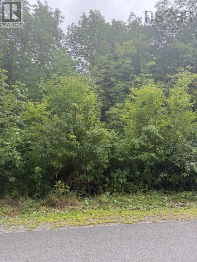 1 Mill Street, Mulgrave, Nova Scotia  B0E 2G0 - Photo 3 - 202526015