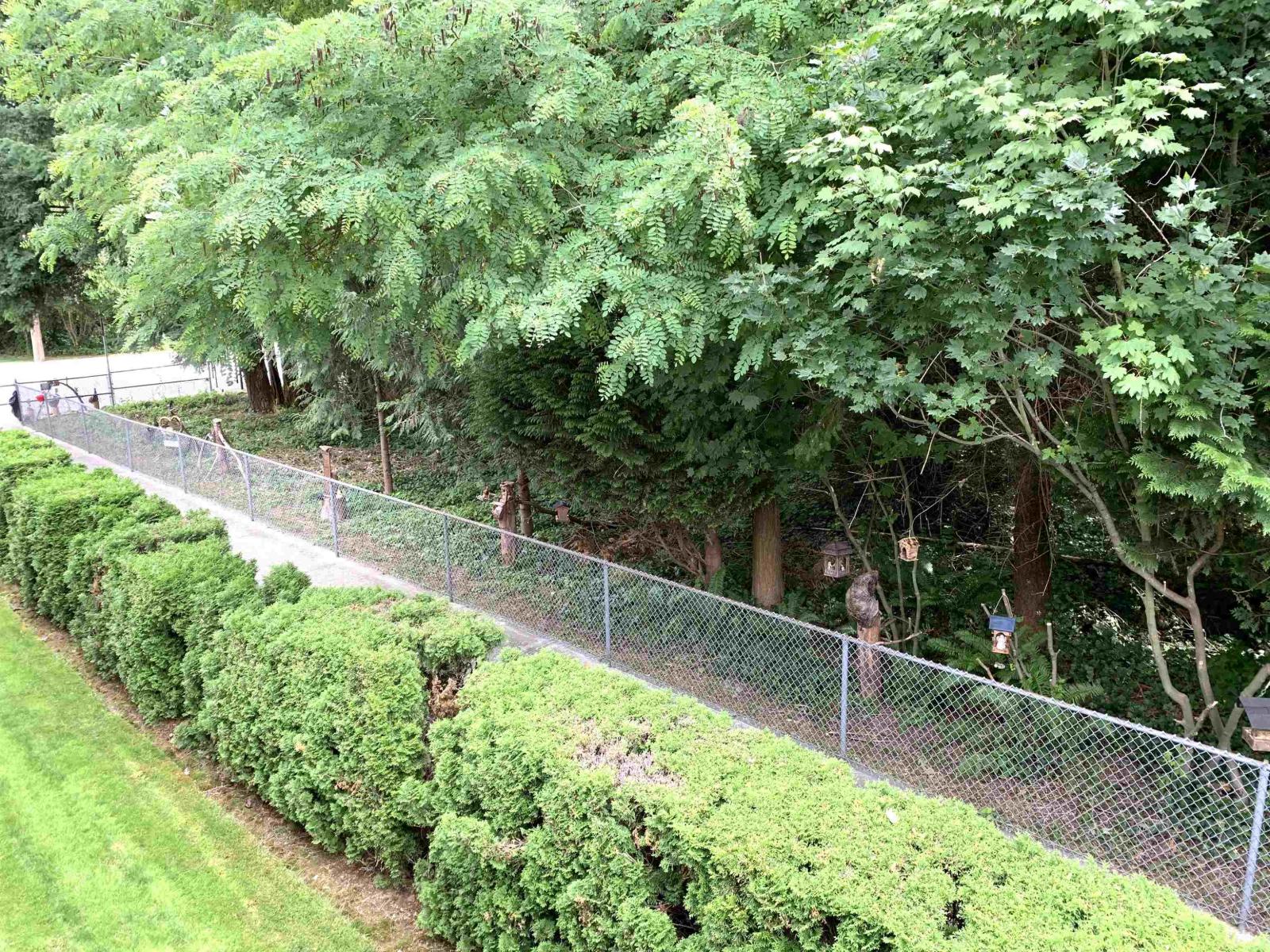 6 32286 7th Avenue, Mission, British Columbia  V2V 6K3 - Photo 6 - R3023526