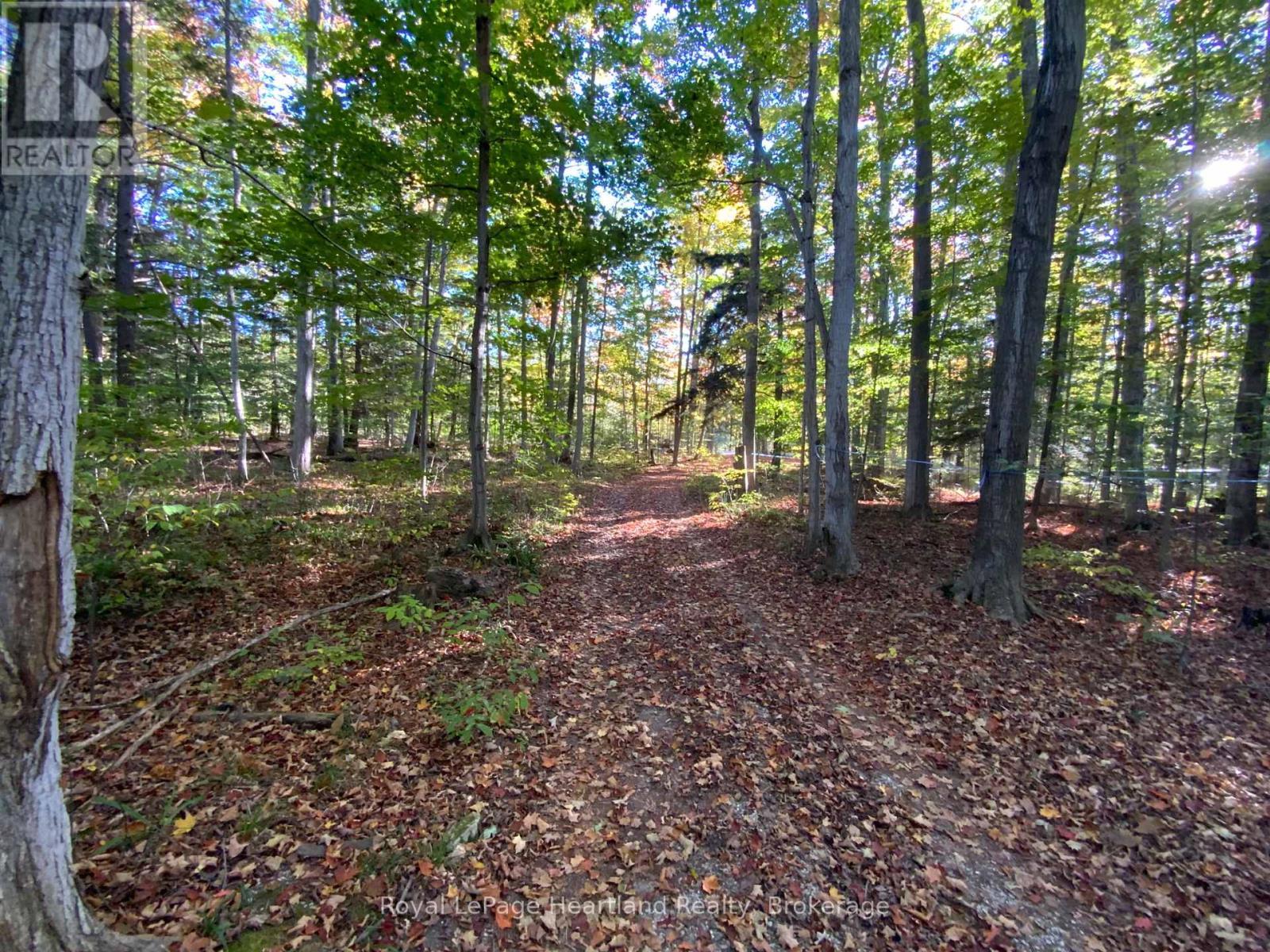 Pt Lt 72 Bayfield Road, Central Huron, Ontario  N0M 1G0 - Photo 3 - X12467220