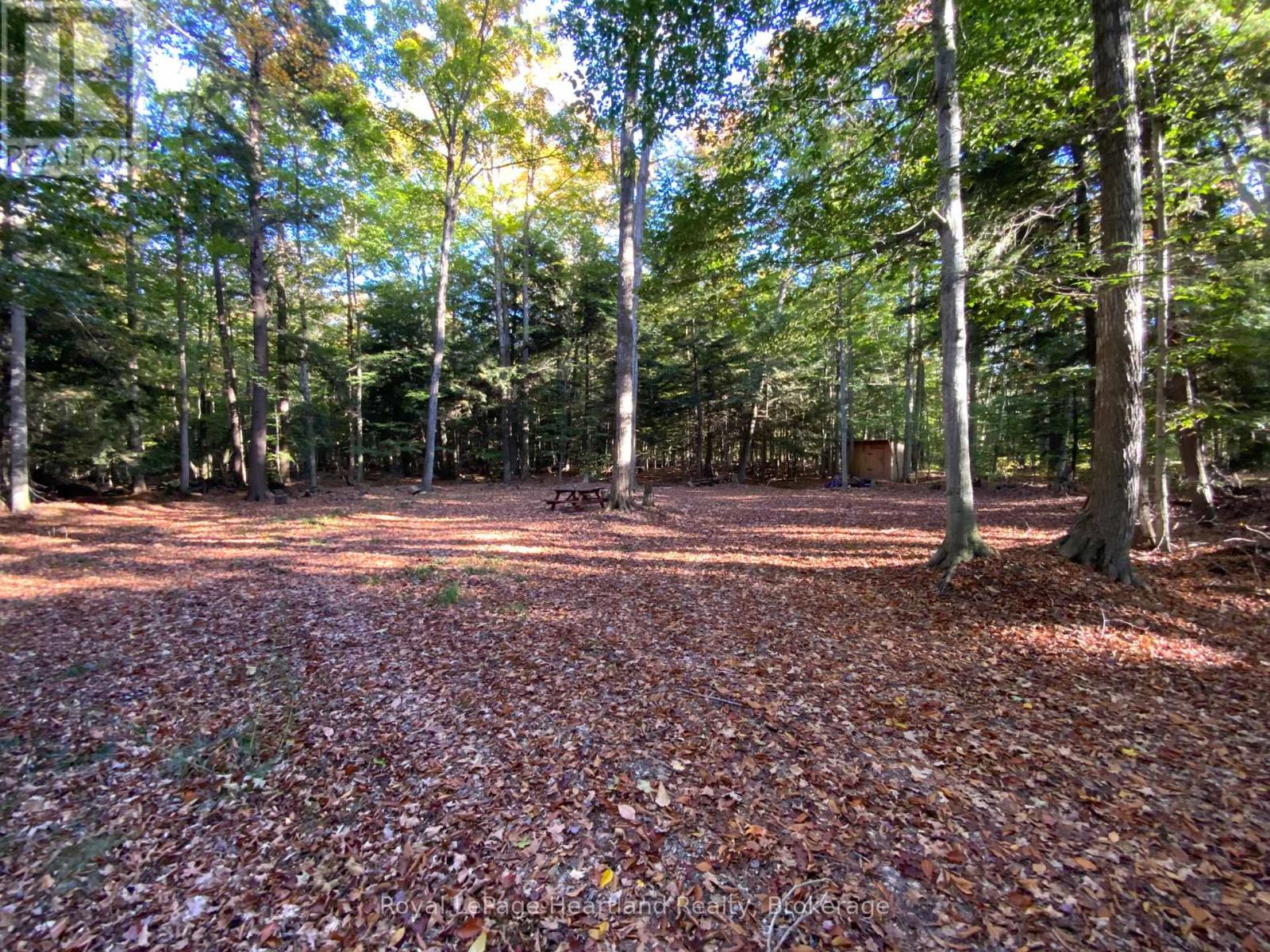 Pt Lt 72 Bayfield Road, Central Huron, Ontario  N0M 1G0 - Photo 4 - X12467220