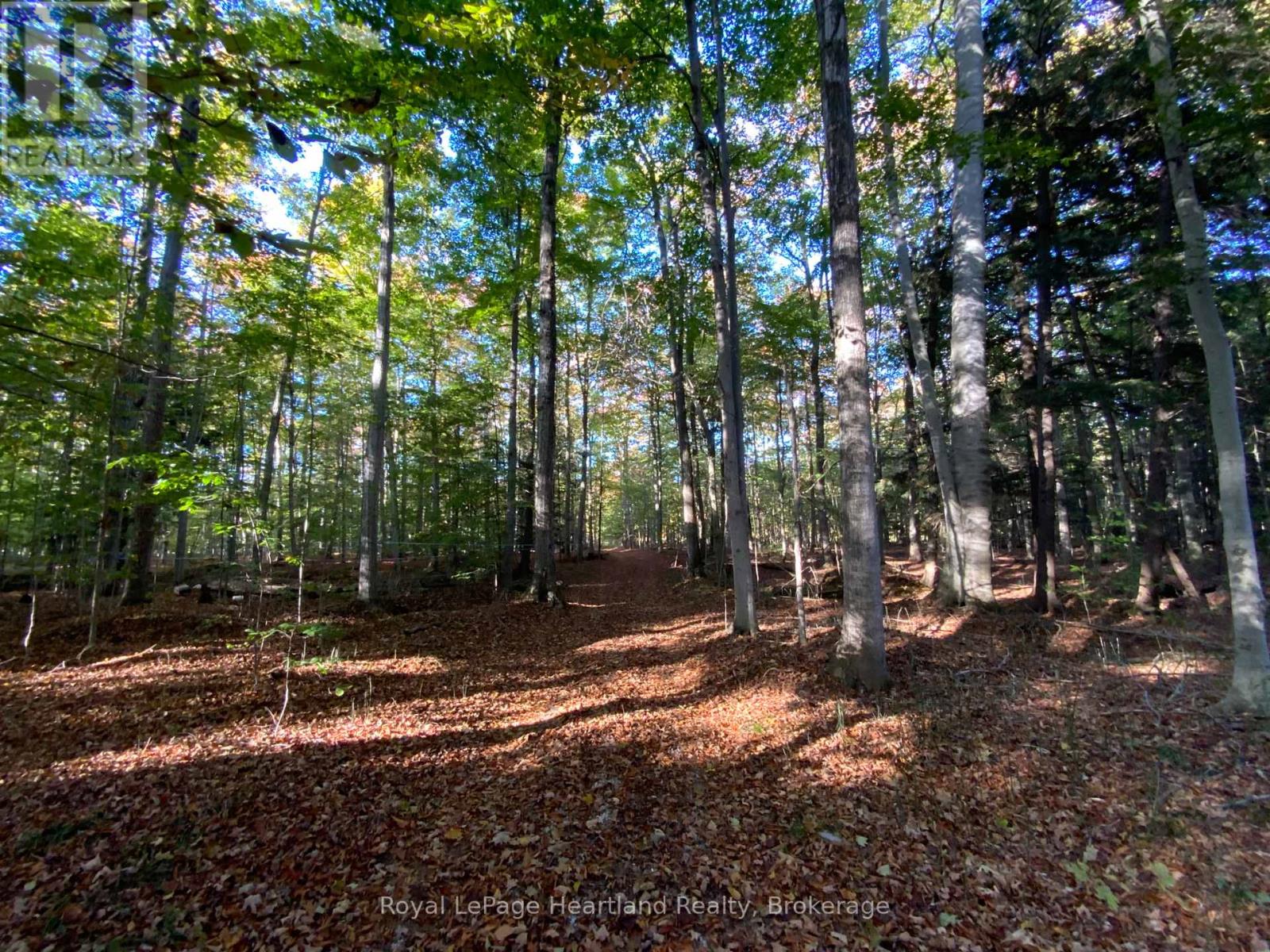 Pt Lt 72 Bayfield Road, Central Huron, Ontario  N0M 1G0 - Photo 8 - X12467220