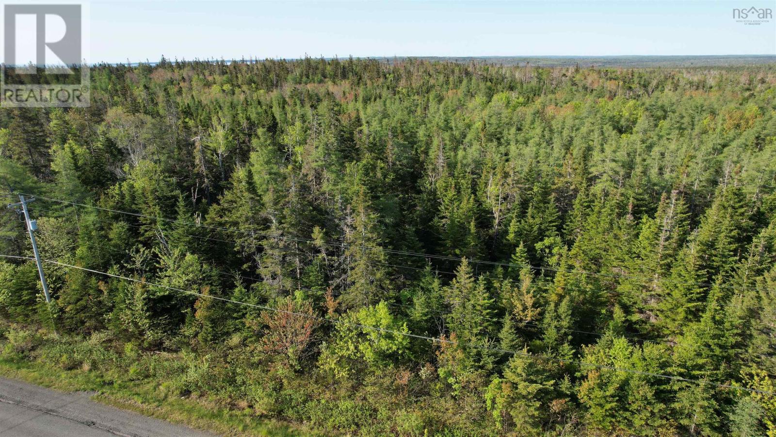 Birch Grove Road, Port Morien, Nova Scotia  B1B 1J3 - Photo 2 - 202526016