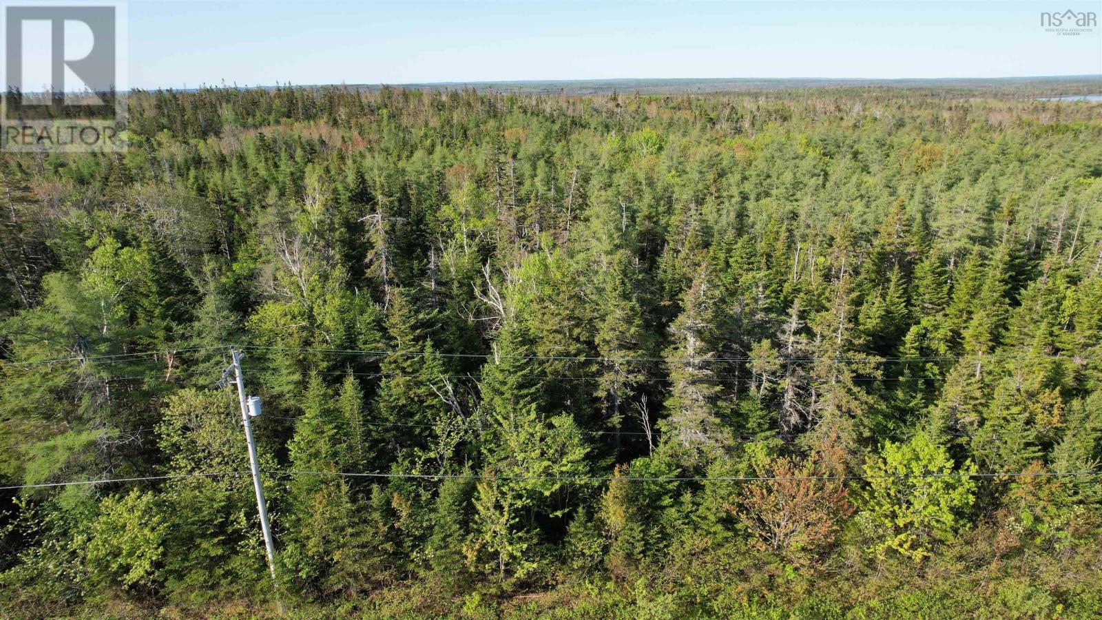 Birch Grove Road, Port Morien, Nova Scotia  B1B 1J3 - Photo 4 - 202526016