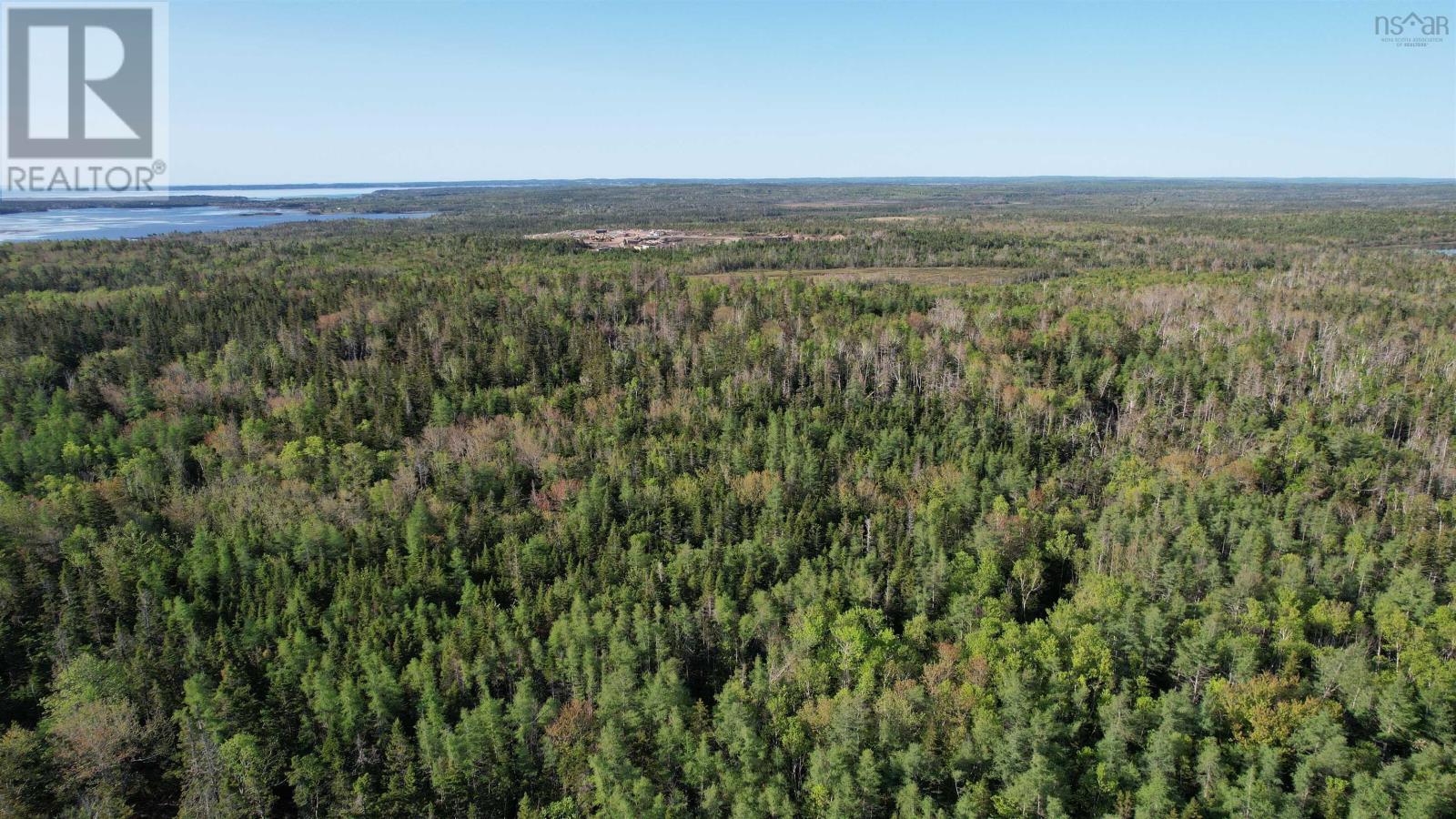 Birch Grove Road, Port Morien, Nova Scotia  B1B 1J3 - Photo 6 - 202526016