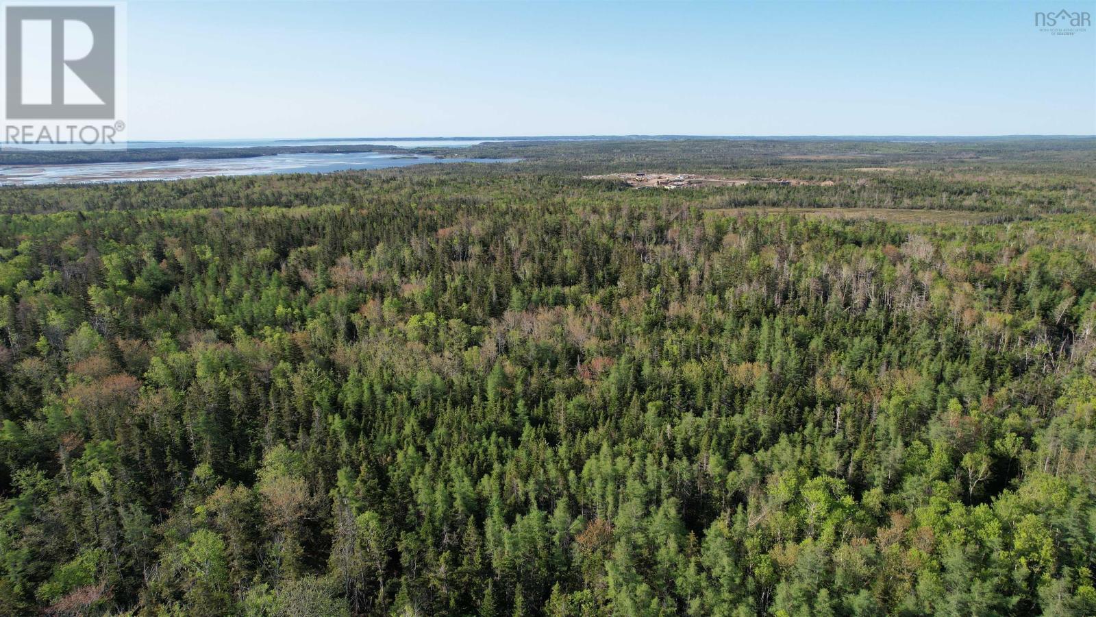 Birch Grove Road, Port Morien, Nova Scotia  B1B 1J3 - Photo 7 - 202526016