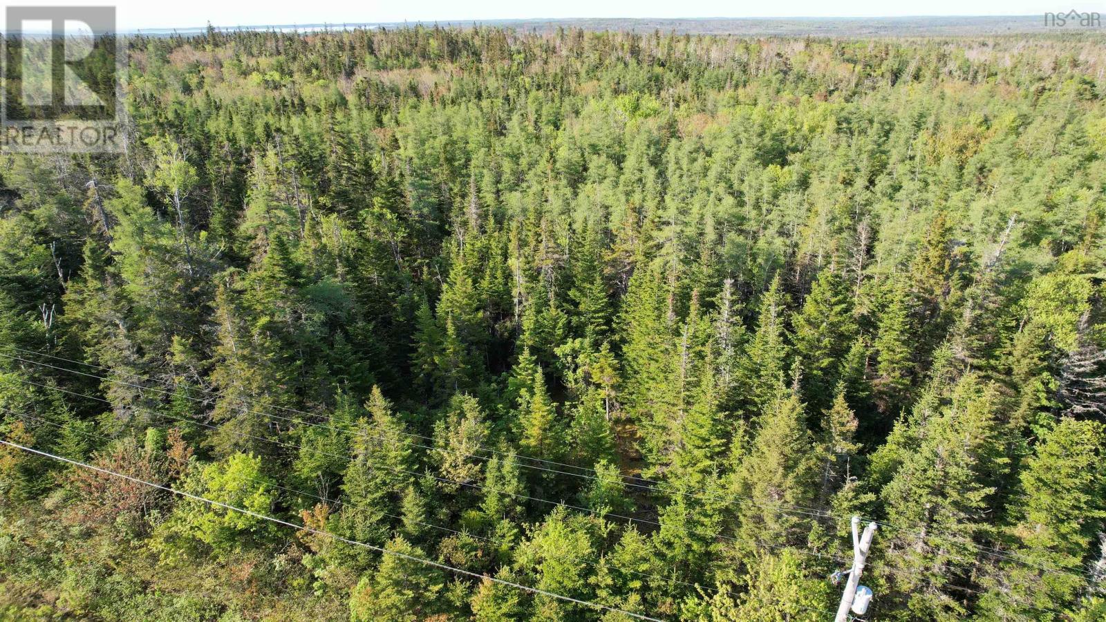 Birch Grove Road, Port Morien, Nova Scotia  B1B 1J3 - Photo 9 - 202526016