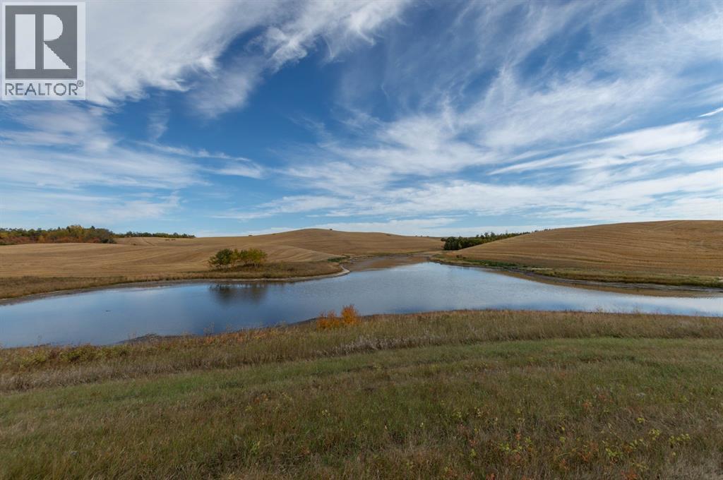 On Twp 41-2, Rural Stettler No. 6, Alberta  T0C 2L0 - Photo 7 - A2037804