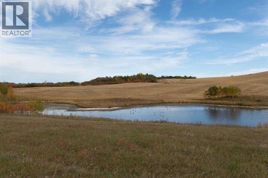 On Twp 41-2, Rural Stettler No. 6, Alberta  T0C 2L0 - Photo 4 - A2037804