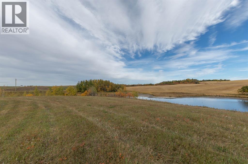 On Twp 41-2, Rural Stettler No. 6, Alberta  T0C 2L0 - Photo 6 - A2037804