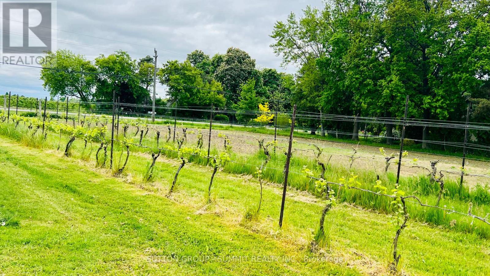84 East West Line, Niagara-On-The-Lake, Ontario  L0S 1J0 - Photo 38 - X12456828