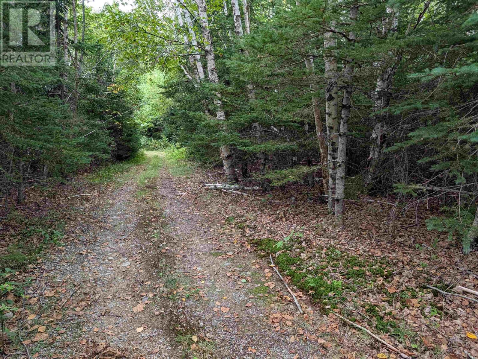 Lot 2 Highway 316, Country Harbour Mines, Nova Scotia  B0H 1J0 - Photo 2 - 202526020