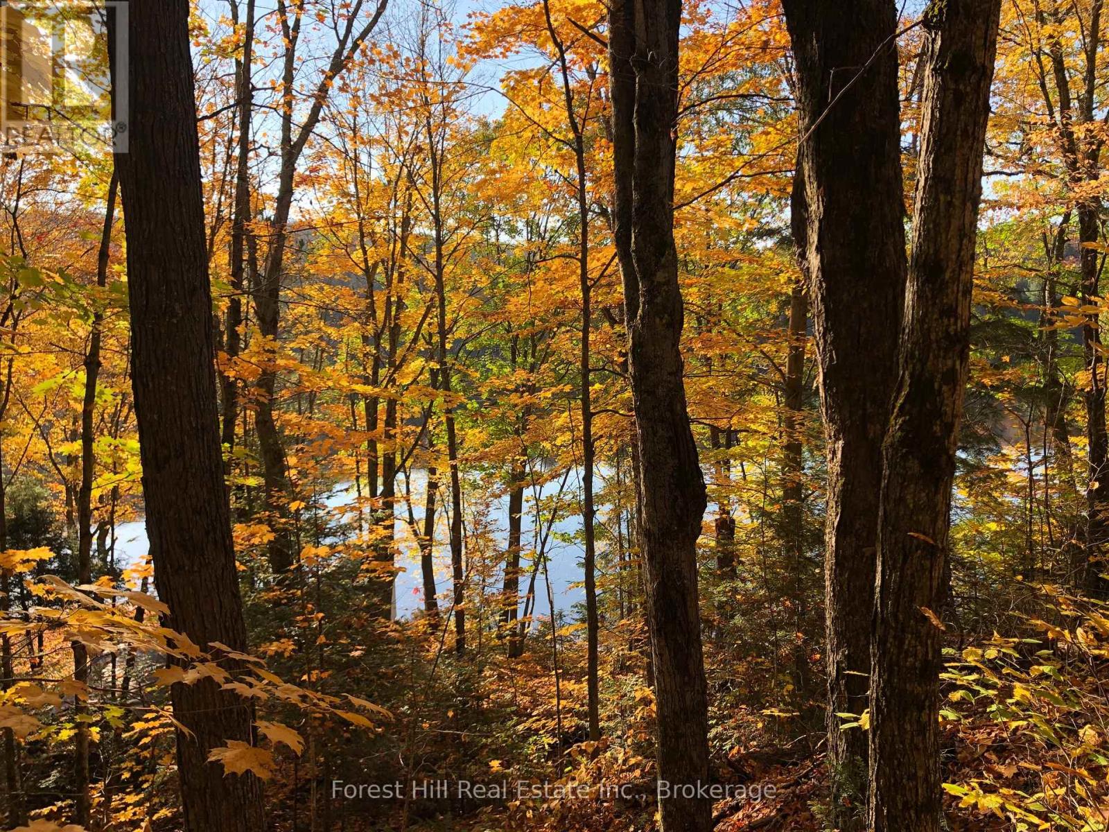 1187 Ivy Lane, Algonquin Highlands (Mcclintock), Ontario  P0A 1E0 - Photo 31 - X12459975