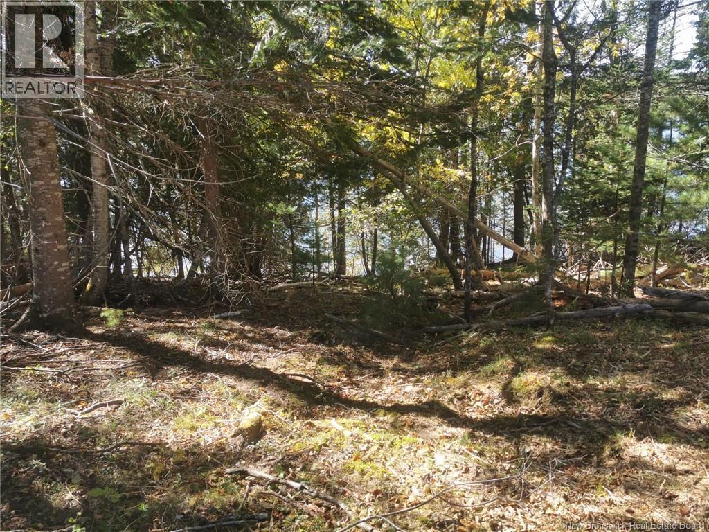 32 Moran Lane, Dufferin, New Brunswick  E3L 3R4 - Photo 3 - NB128517