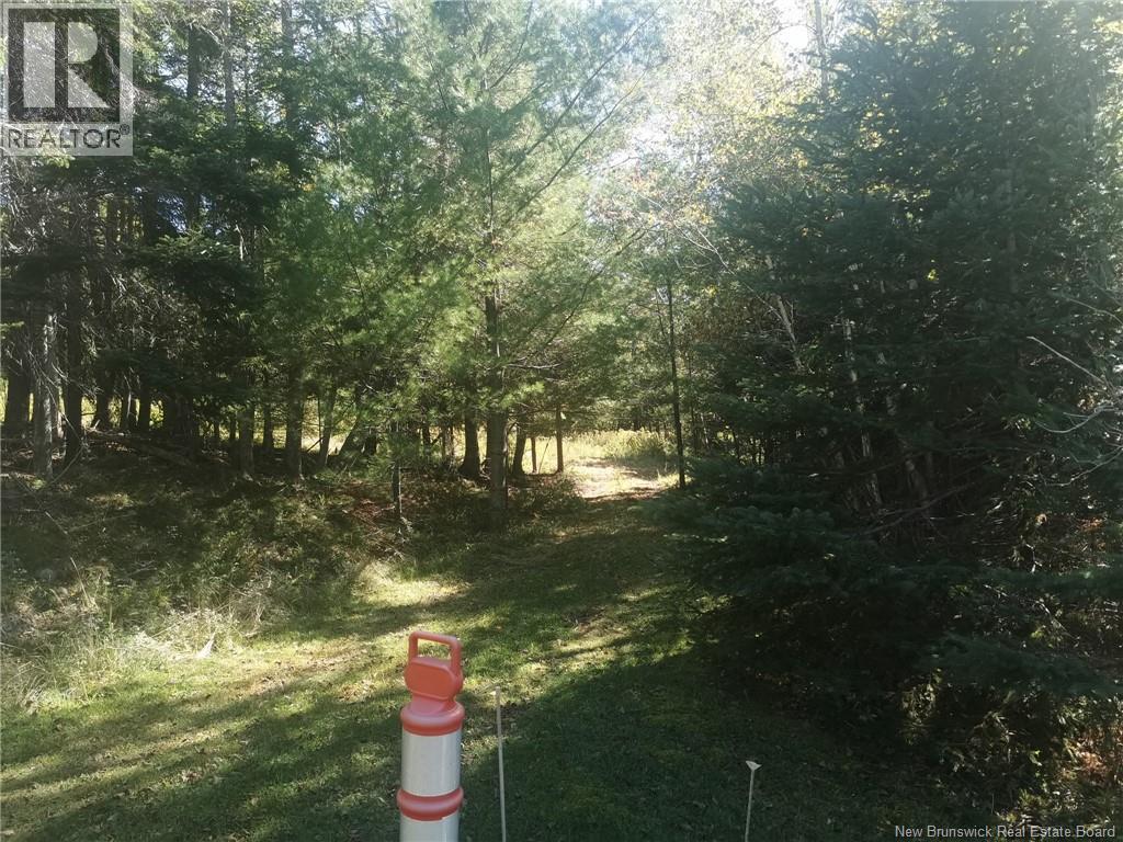 32 Moran Lane, Dufferin, New Brunswick  E3L 3R4 - Photo 4 - NB128517